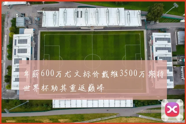 年薪600万尤文标价戴维3500万期待世界杯助其重返巅峰